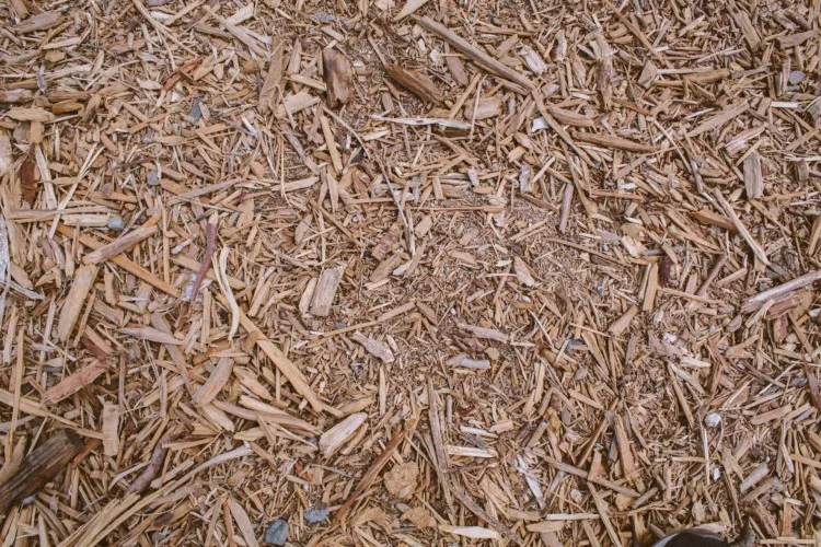 Wood Mill Residues