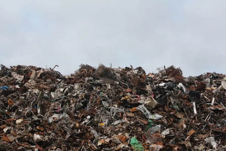 11 Different Types of Biomass To Know 5 Pile of Municipal Waste