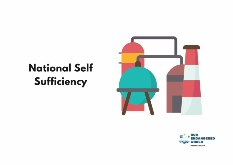 National Self Sufficiency Graphics