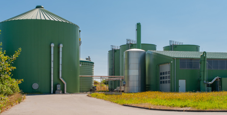 Biogas plant for power generation and energy
