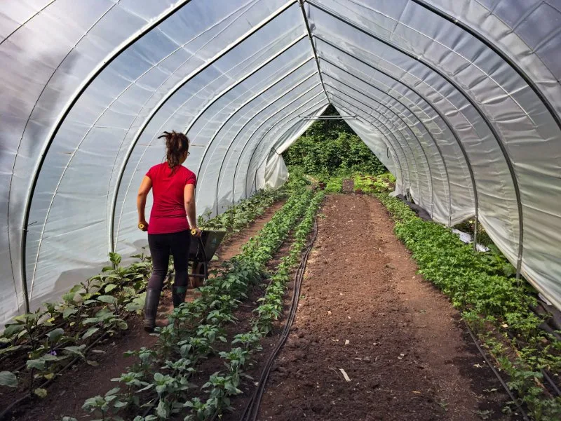 woman rolling a wheelbarrow out of a greenhouse