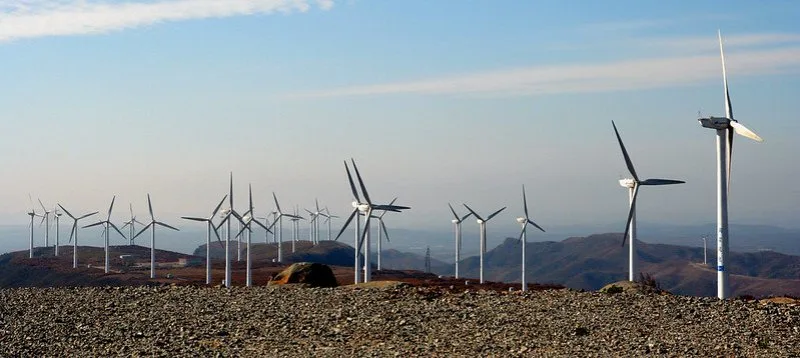 View of wind turbines on a field