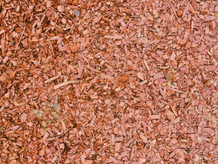 Wood  Chips Processing Residues