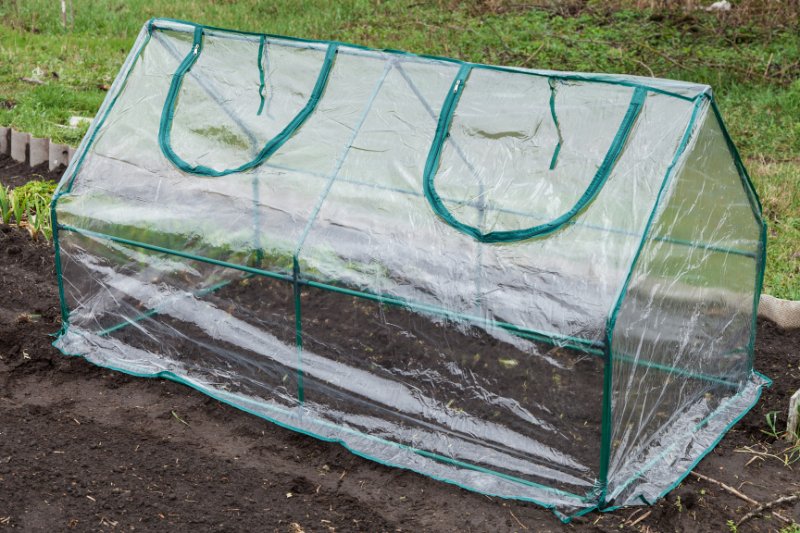 mini greenhouse