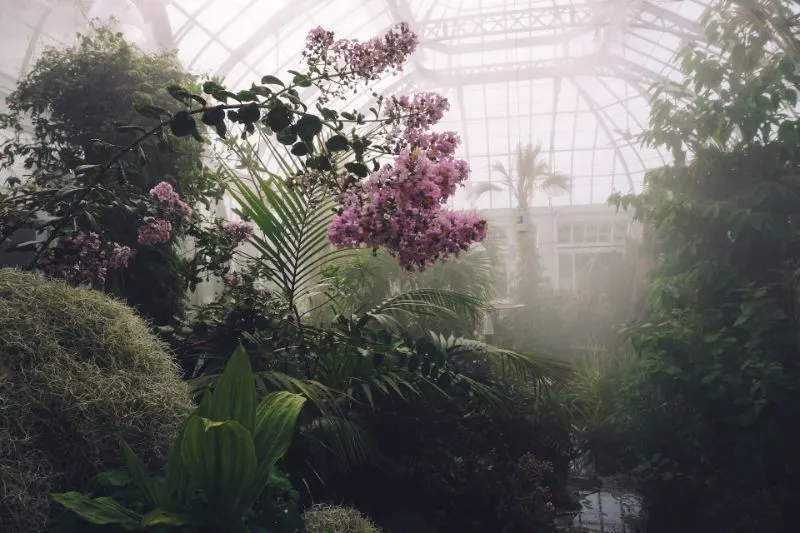 Greenhouses for winter 