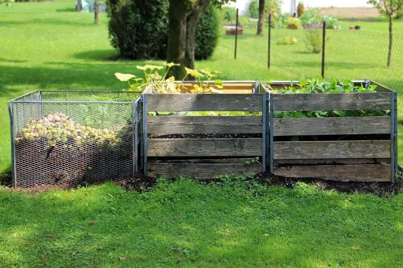 Backyard compost