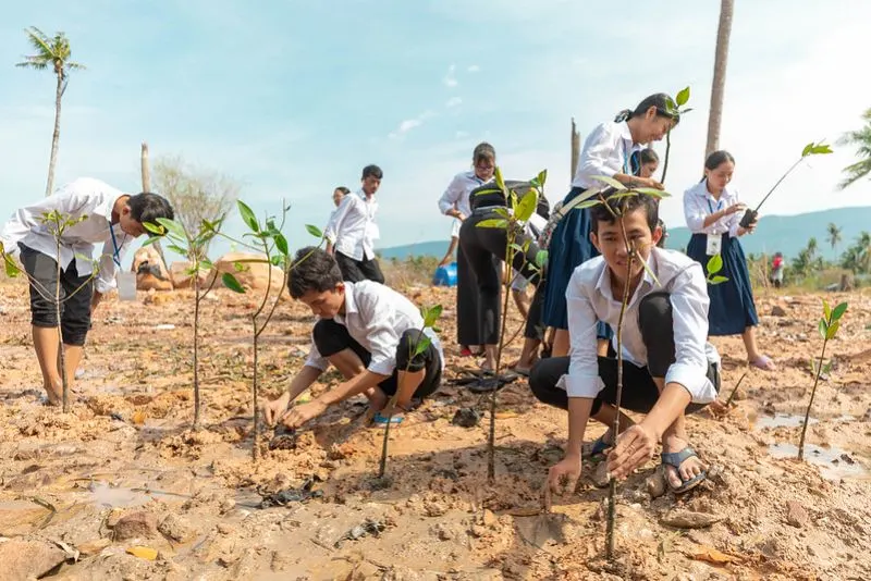 People planting mangroves in Cambodia