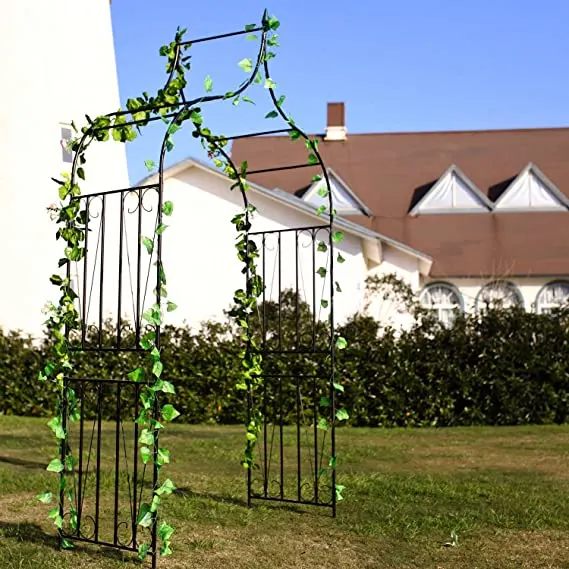 plants crawling on a gothic arch metal greenhouse