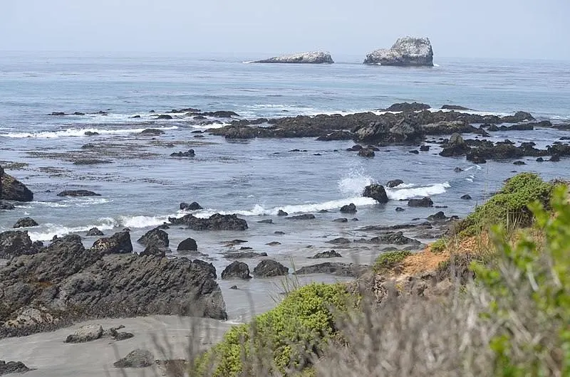 Piedras Blancas State Marine Reserve (SMR) and Piedras Blancas State Marine Conservation Area (SMCA)