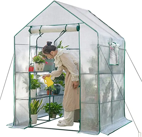 rooftop greenhouse woman watering her plants inside a greenhouse
