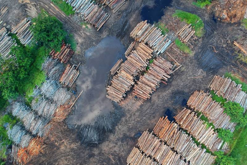 birds eye view of deforestation and logs being piled
