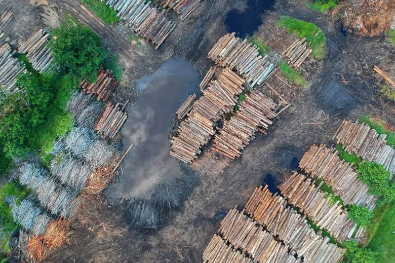 12 Best Solutions to Climate Change 5 birds eye view of deforestation and logs being piled