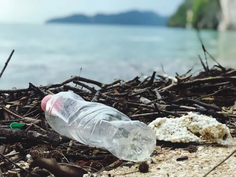 close up photo of a plastic bottle in an ocean bay