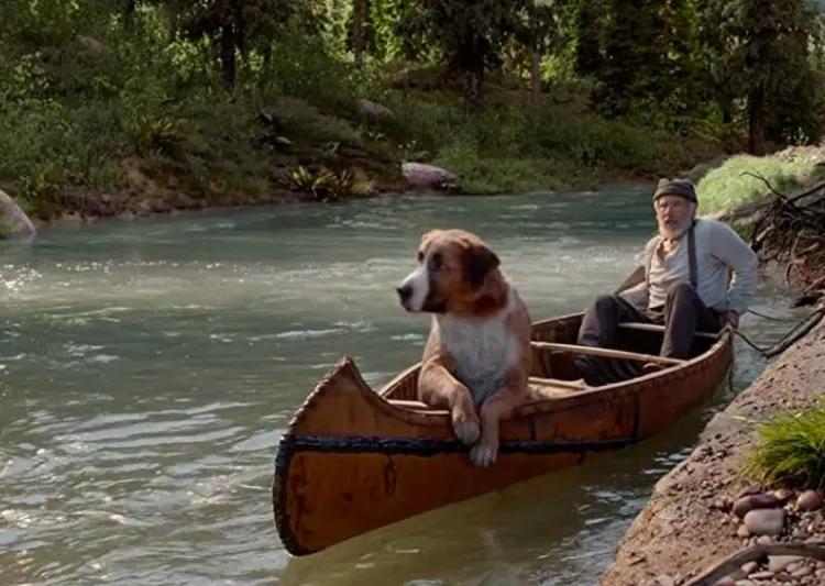 old man with dog in a canoe on a river