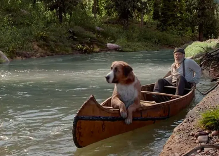 dog and man old man with dog in a canoe on a river