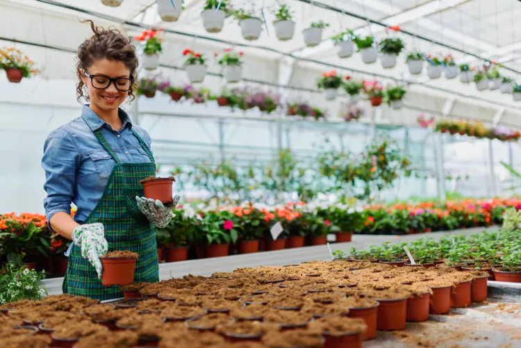greenhouse lowcost woman adding organic fertilizer on pots