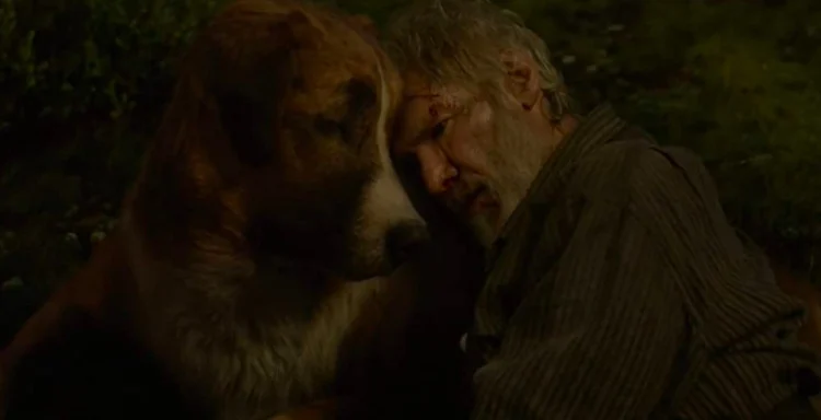 mans best friend dog caring for his ill and bleeding friend