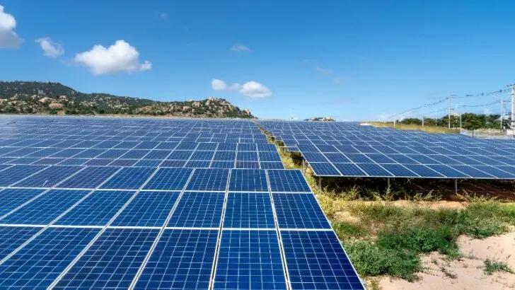 solar panels laying flat on a field and blue sky