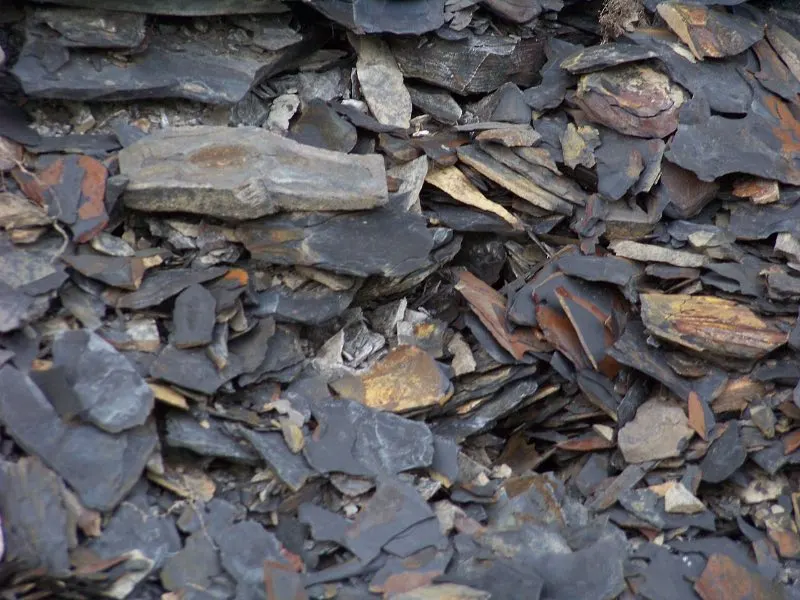 25 Important Pros and Cons of Shale Oil 2 Marcellus Shale Close Up