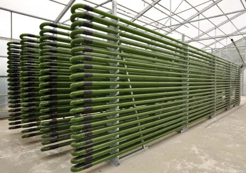 17 Important Algae Fuel Pros and Cons to Know 1 Photobioreactor for microalgae