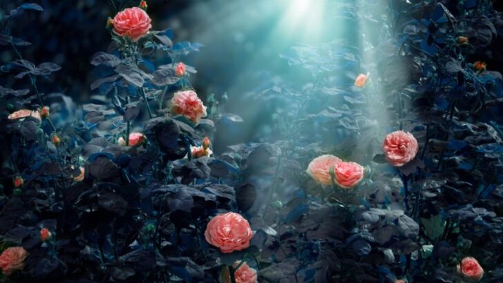 Mysterious flower