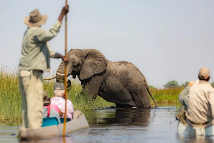 Exiting the Okavango Delta in Botswana by mokoro