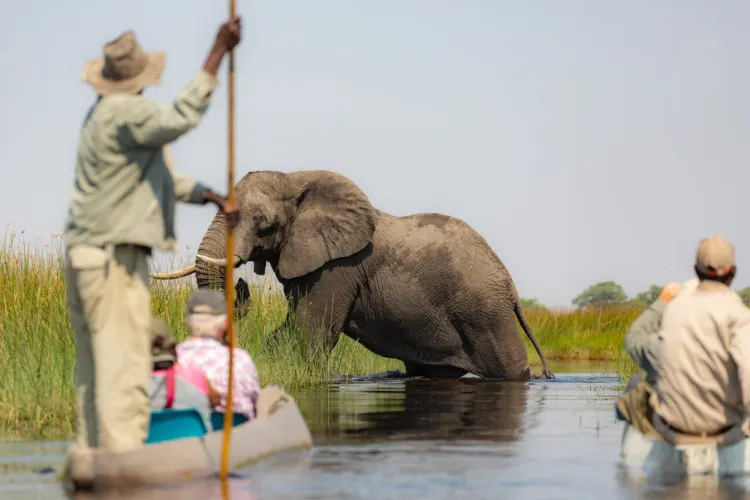 Conservation Volunteer Opportunities: How to Find & Choose the Best 27 Exiting the Okavango Delta in Botswana by mokoro