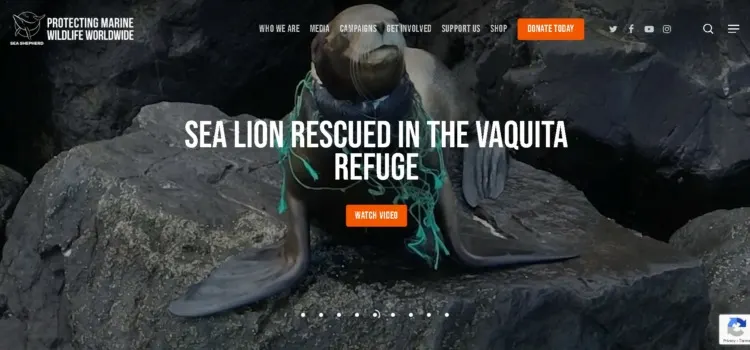 Sea Shepherd Conservation Society website