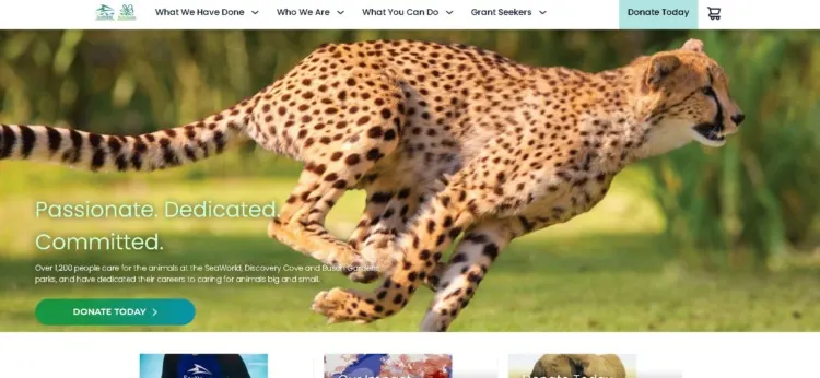 Conservation Volunteer Opportunities: How to Find & Choose the Best 4 SeaWorld & Busch Gardens Conservation Fund Website
