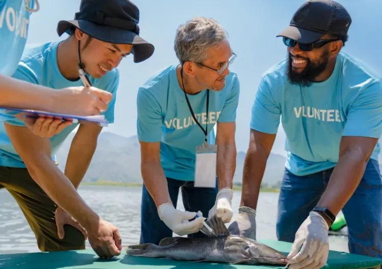 Conservation Volunteer Opportunities: How to Find & Choose the Best 20 Professional biologist and volunteer team working together to research injecting microchip into the fish's body to track its movements and behavior, useful for studying the breeding ecology