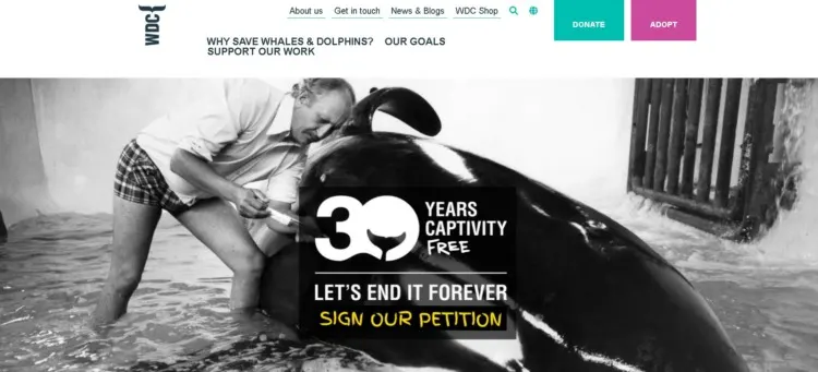 Conservation Volunteer Opportunities: How to Find & Choose the Best 15 Whale & Dolphin Conservation Website