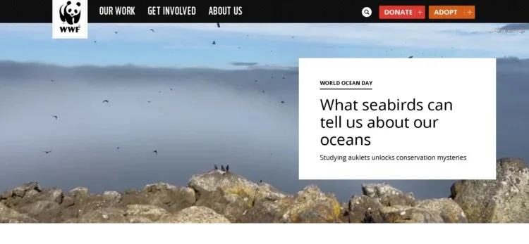 Conservation Volunteer Opportunities: How to Find & Choose the Best 11 World Wildlife Fund landing page