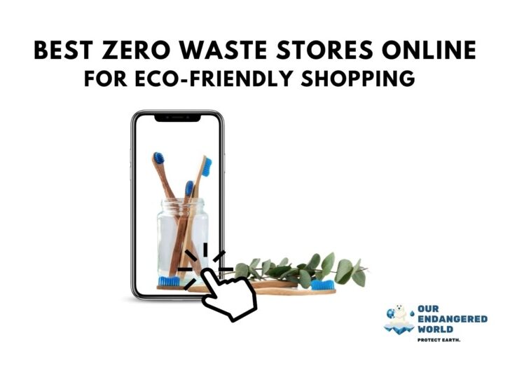 Best Zero Waste Stores Online for Eco-Friendly Shopping