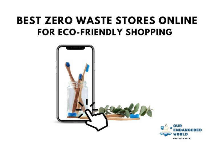 14 Best Zero Waste Stores Online for Eco-Friendly Shopping 9 14 Best Zero Waste Stores Online for Eco-Friendly Shopping