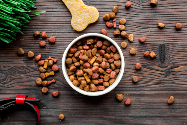 Dry dog food in bowl on wooden background top view