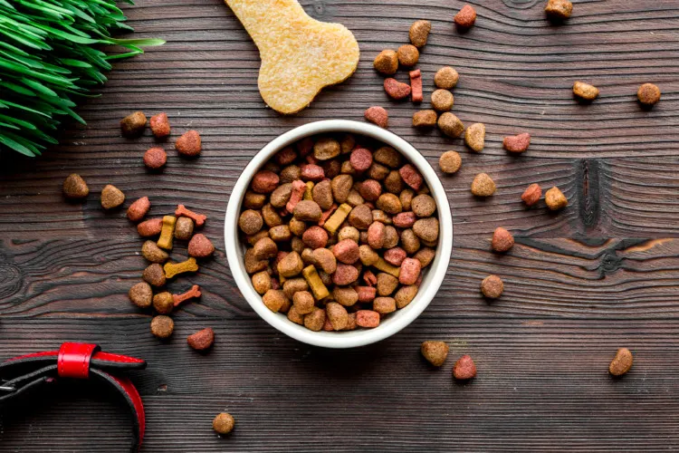 12 Most Ethical, Sustainable Dog Food & Products 13 Dry dog food in bowl on wooden background top view