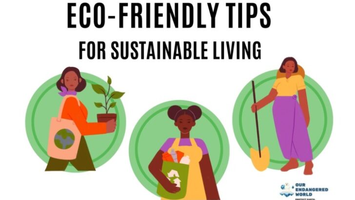Eco-Friendly Tips for Sustainable Living