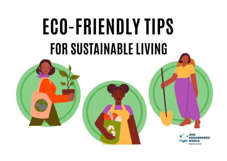 Eco-Friendly Tips for Sustainable Living