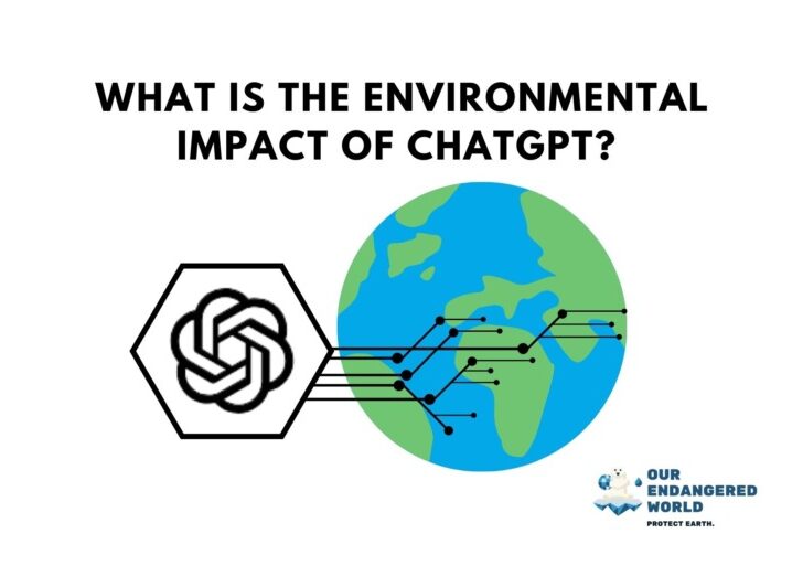 What is the Environmental Impact of ChatGPT?