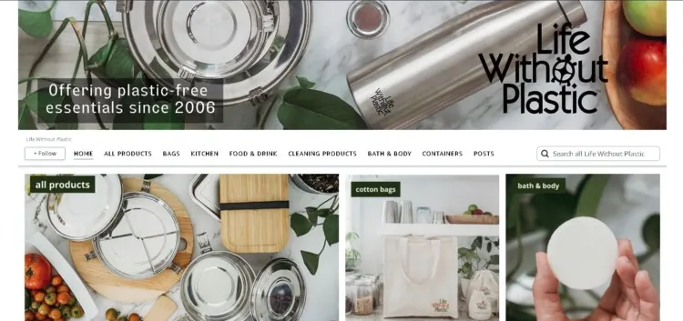 14 Best Zero Waste Stores Online for Eco-Friendly Shopping 1 Life Without Plastic Amazon page