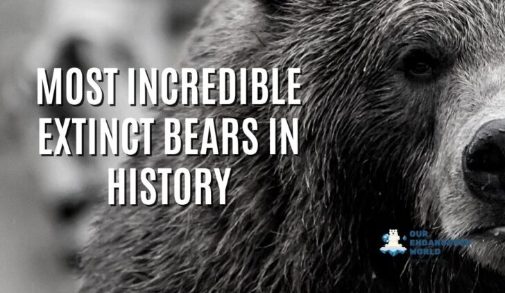 Most Incredible Extinct Bears in History