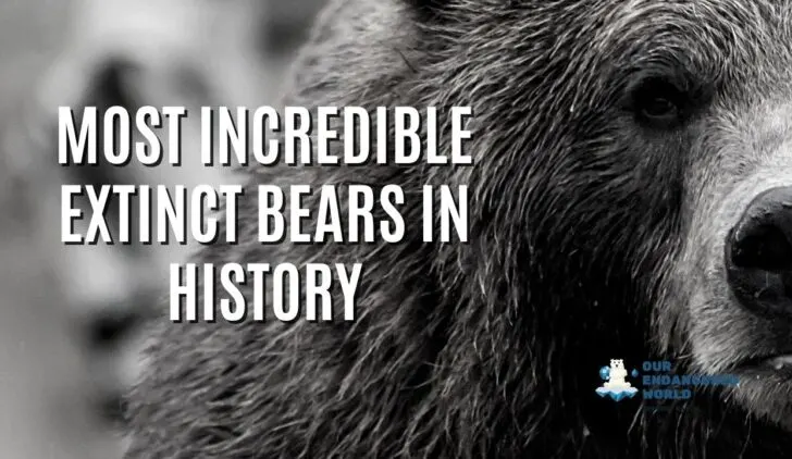 Most Incredible Extinct Bears in History