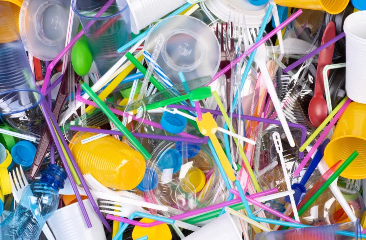 Disposable single use plastic objects such as bottles, cups, forks, spoons and drinking straws that cause pollution of the environment, especially oceans.