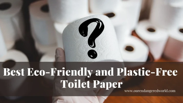 A blog banner for the title 'The Best Eco-Friendly and Plastic-Free Toilet Paper'