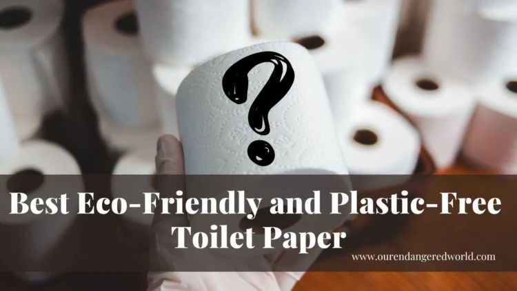 10 Best Eco-Friendly & Plastic-Free Toilet Paper 14 A blog banner for the title 'The Best Eco-Friendly and Plastic-Free Toilet Paper'