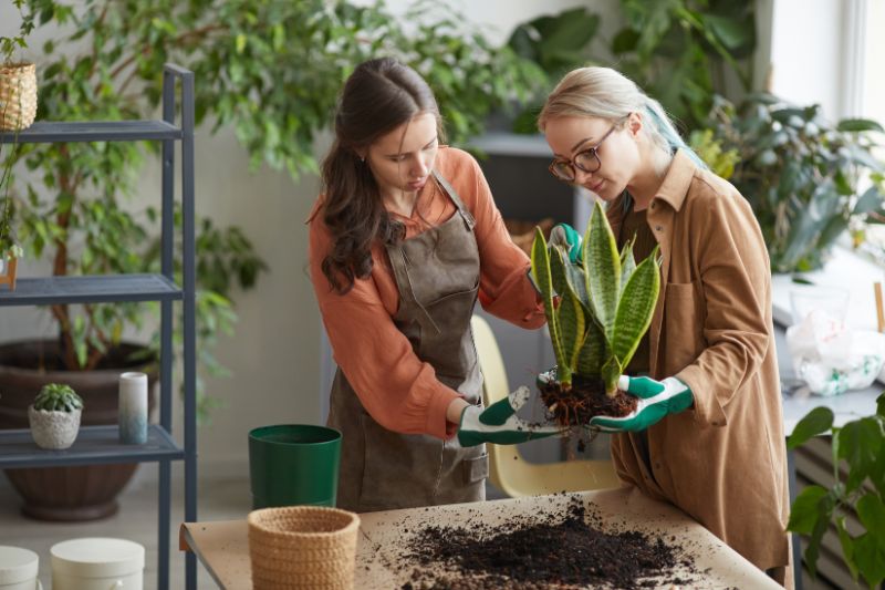 Portrait of two female florists indoor gardening