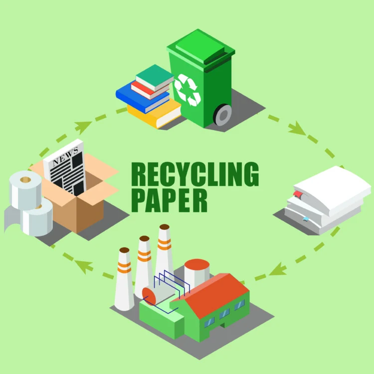 10 Best Eco-Friendly & Plastic-Free Toilet Paper 13 Process of Recycled Toilet Paper Making