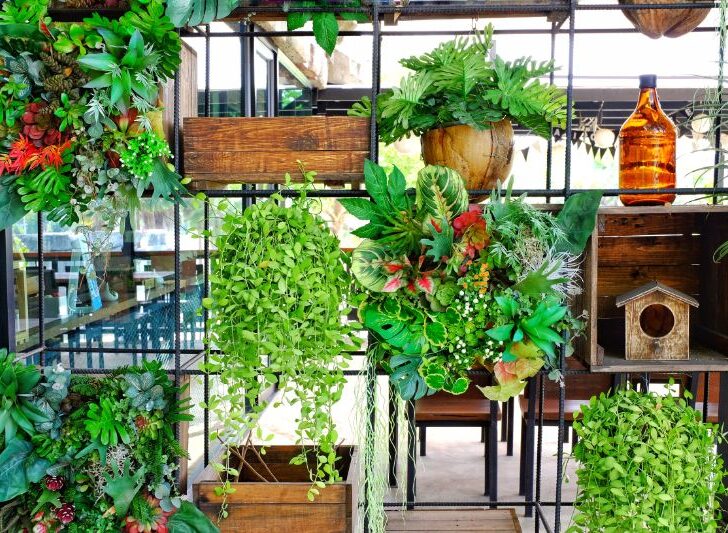 Shelf with indoor plants for apartment garden