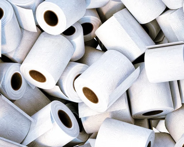 10 Best Eco-Friendly & Plastic-Free Toilet Paper 11 Several rolls of toilet paper
