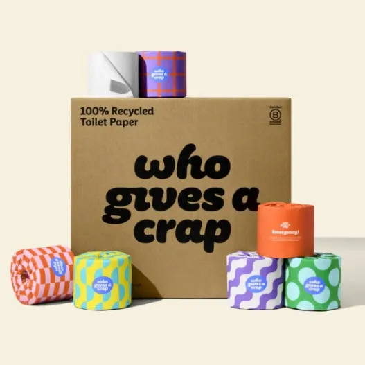 10 Best Eco-Friendly & Plastic-Free Toilet Paper 1 A Bundle of Who Gives a Crap Toilet Paper